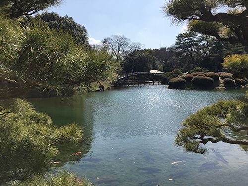 f:id:gufufu_land:20170314185239j:plain