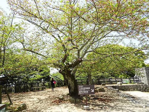 f:id:gufufu_land:20170503171918j:plain